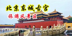 操淫逼视频网中国北京-东城古宫旅游风景区